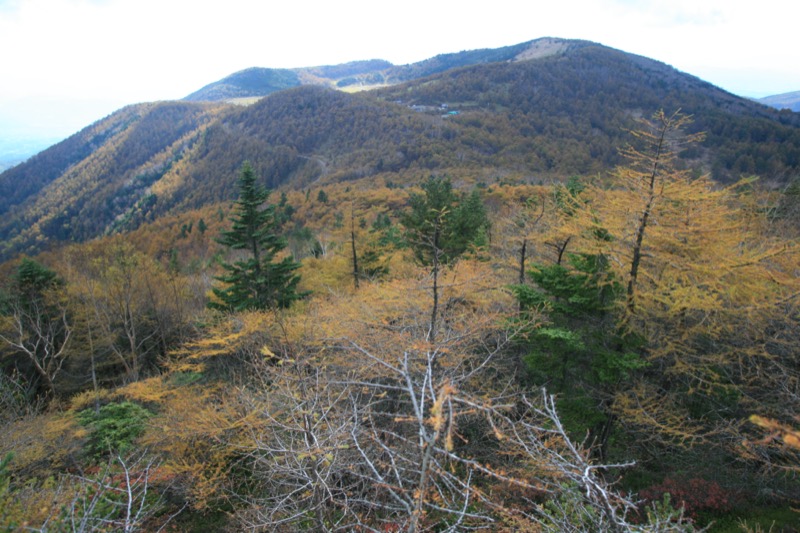 高峰高原