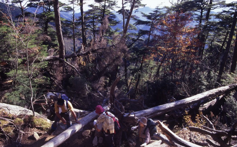 瑞牆山