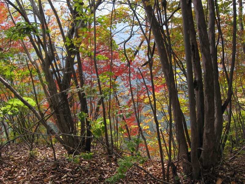 有笠山