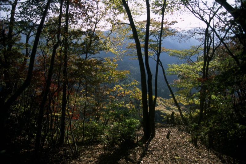 有笠山