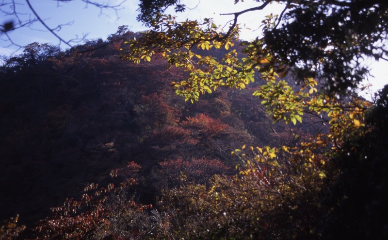 箱根・駒ヶ岳