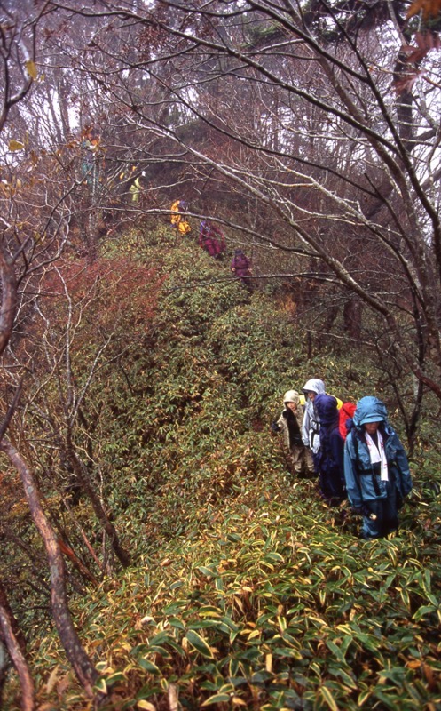 笠取山