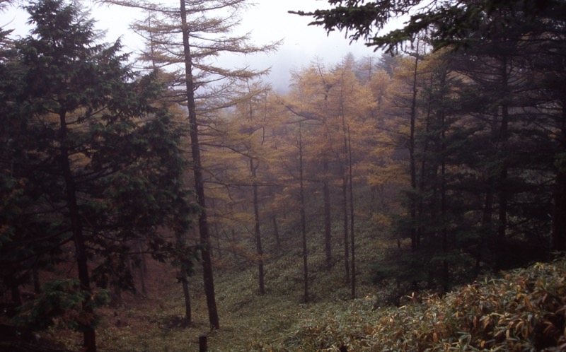 笠取山