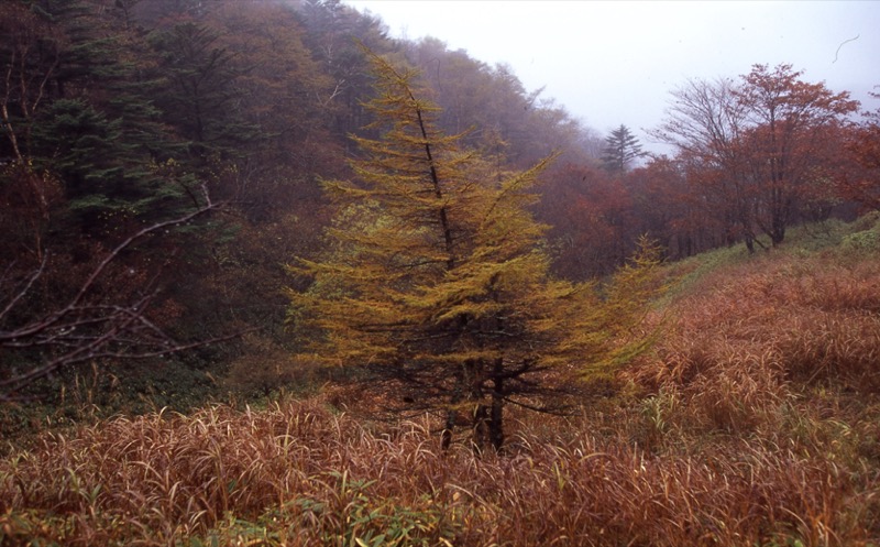 笠取山