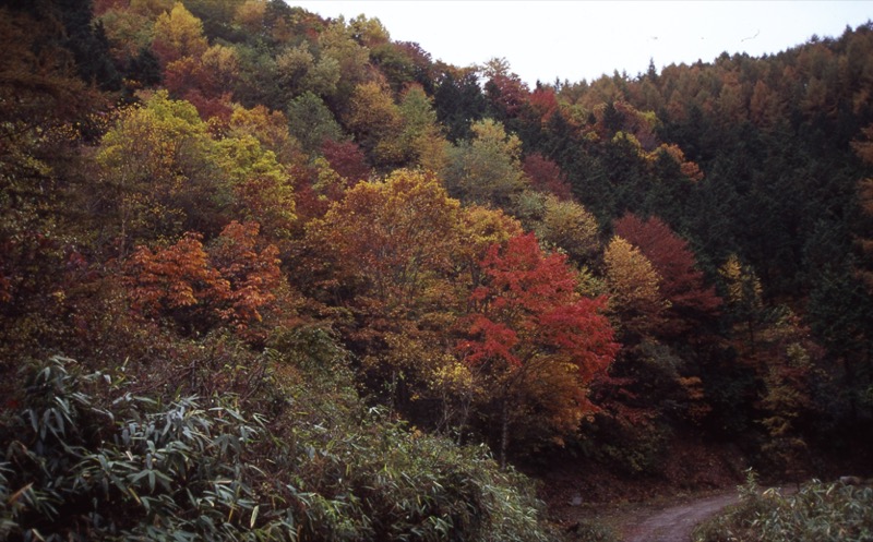 笠取山