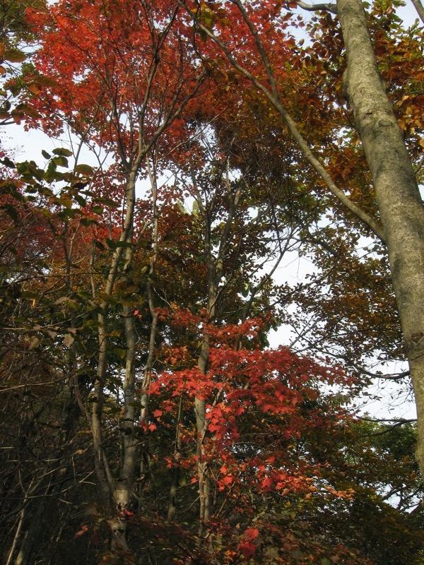 水沢山