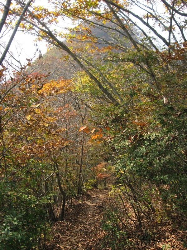 水沢山