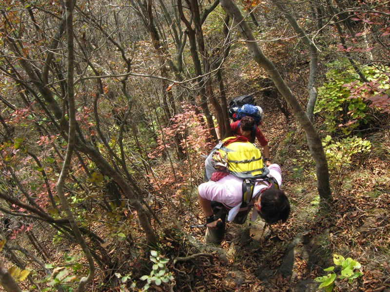 水沢山