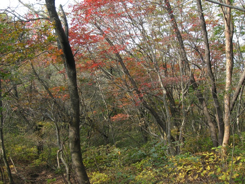 水沢山