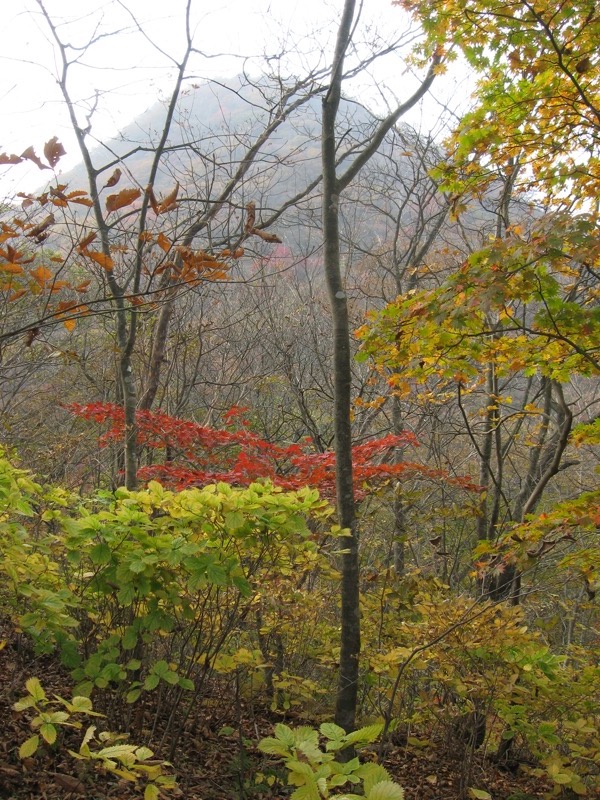 水沢山