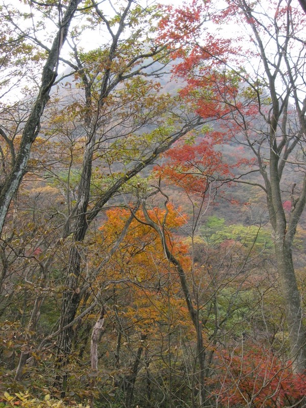 水沢山
