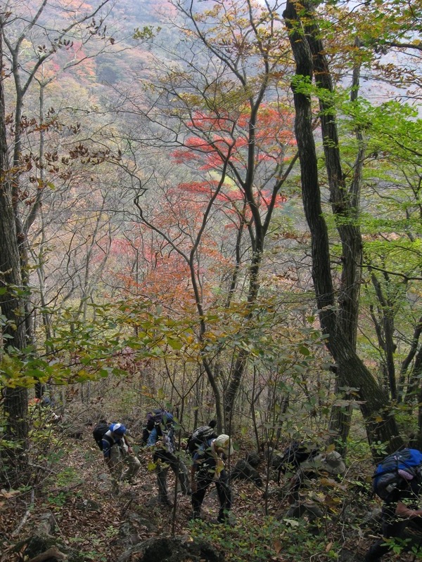 水沢山