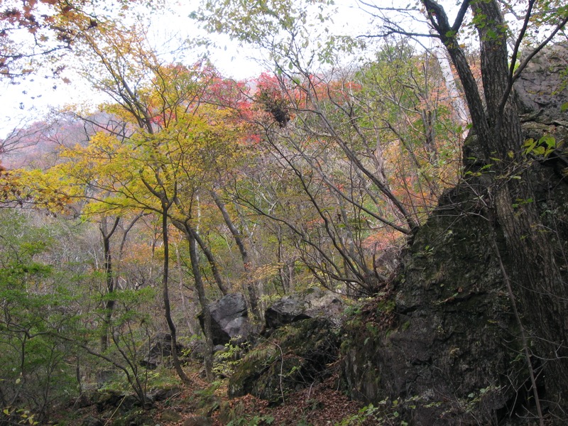 水沢山