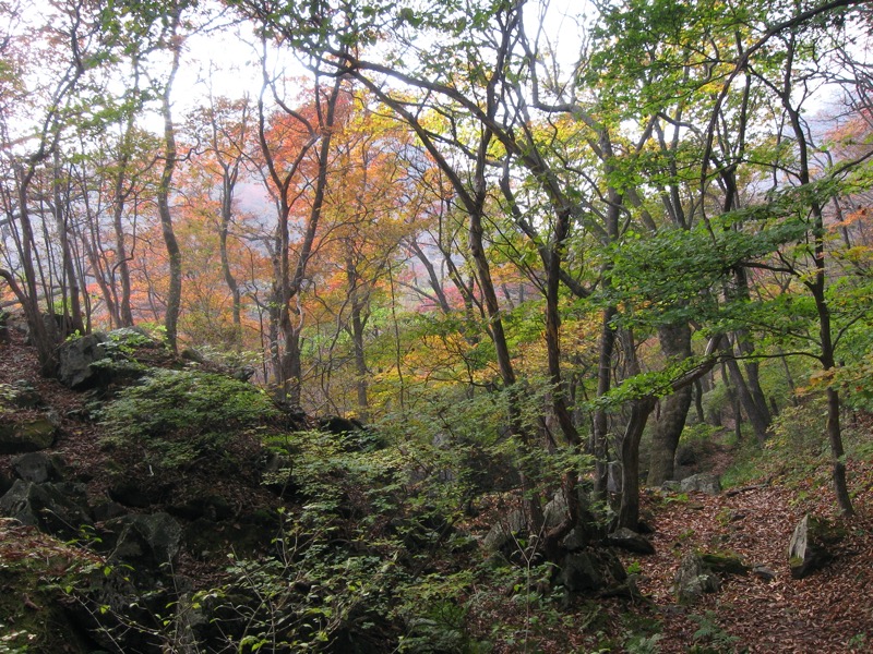 水沢山