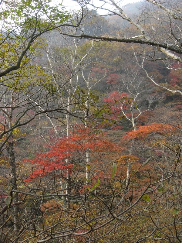 水沢山