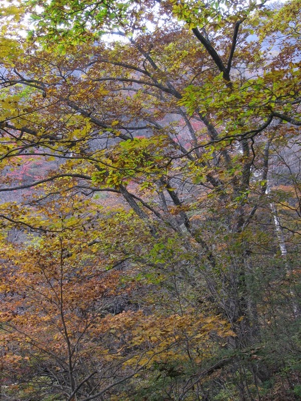 水沢山