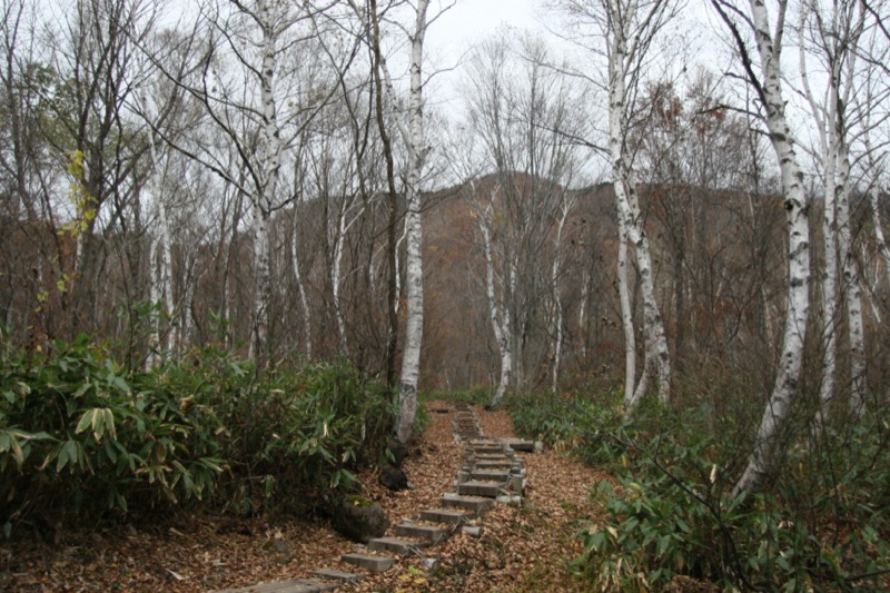 妙高山