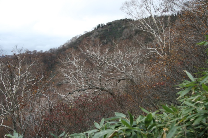 妙高山