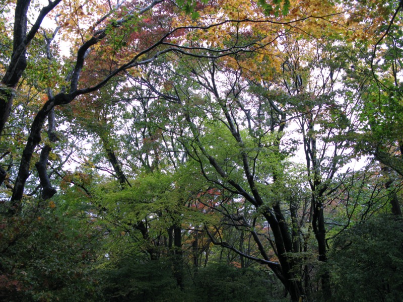 那須岳