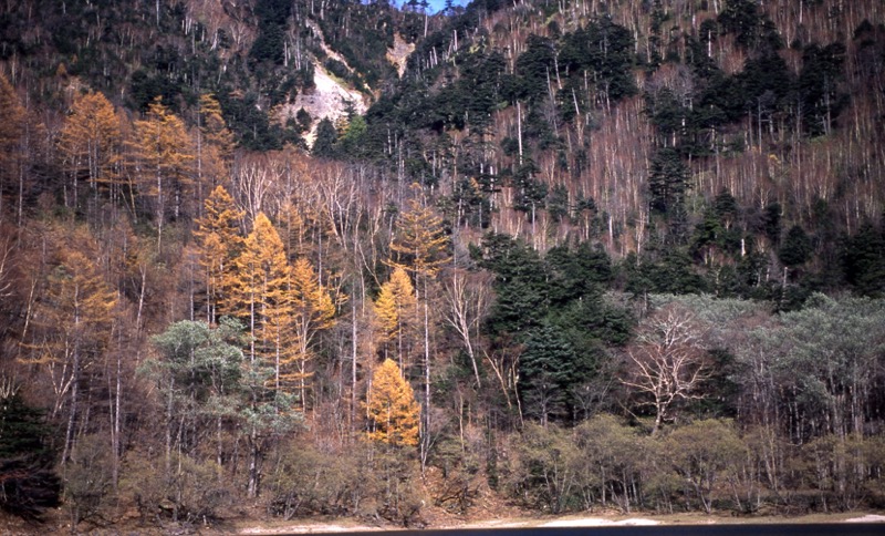 刈込湖・切込湖