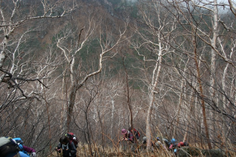 妙高山