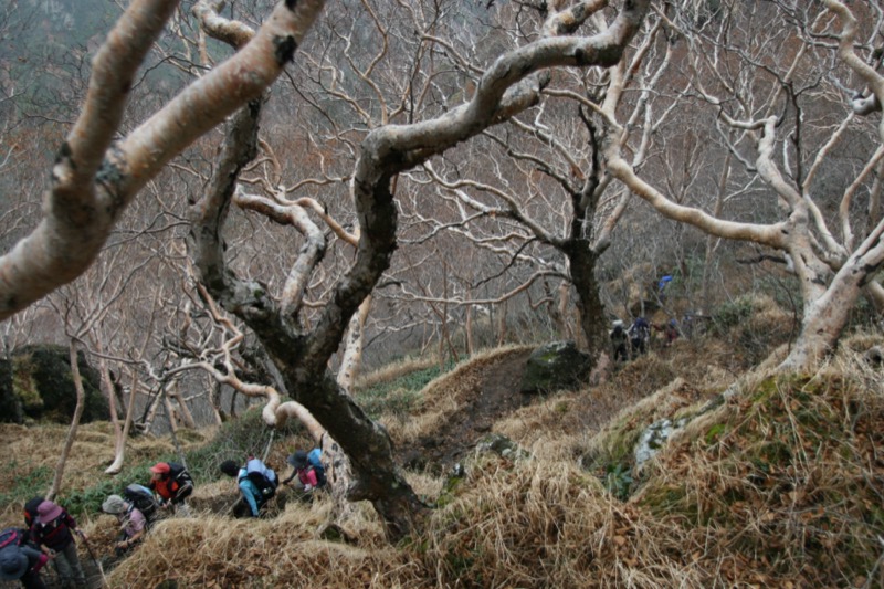 妙高山