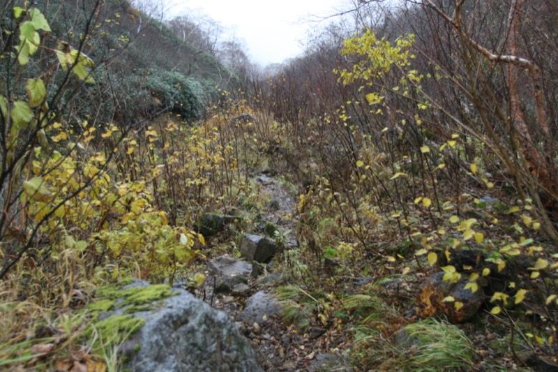 妙高山