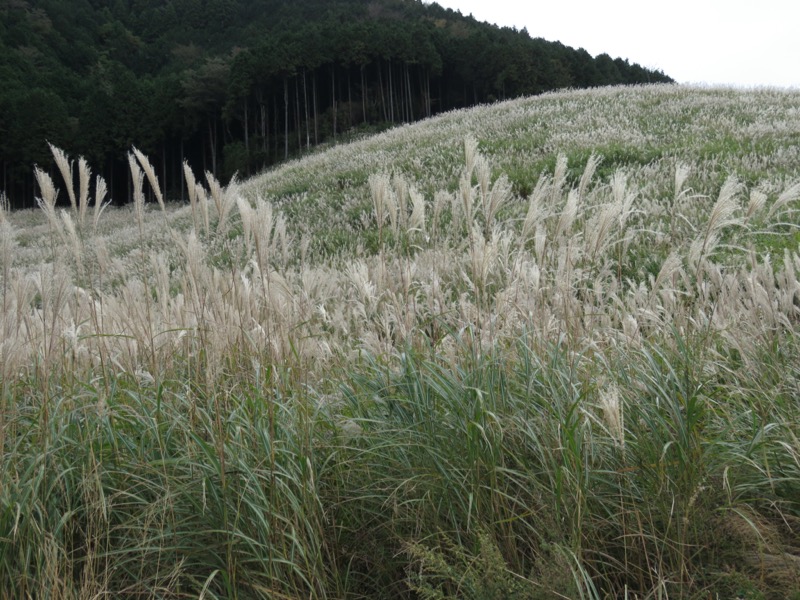 箱根・丸岳