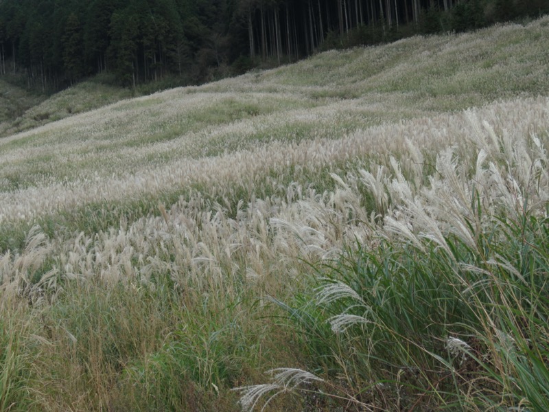 箱根・丸岳