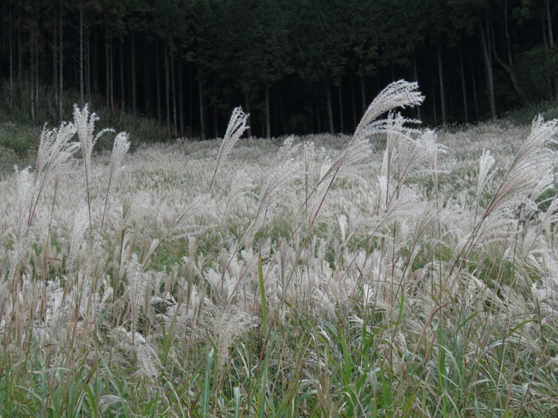 箱根・丸岳