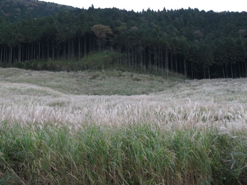 箱根・丸岳