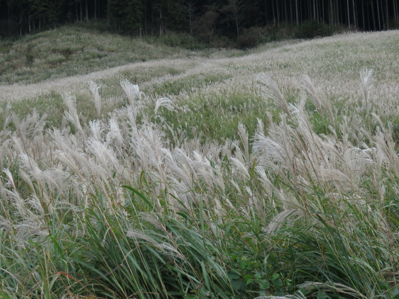 箱根・丸岳