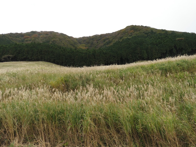 箱根・丸岳