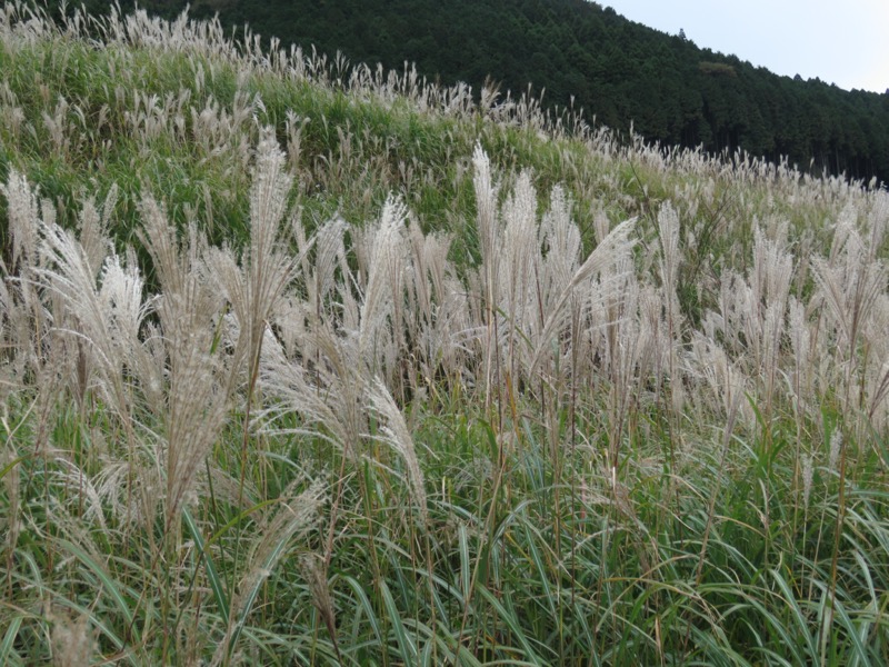 箱根・丸岳