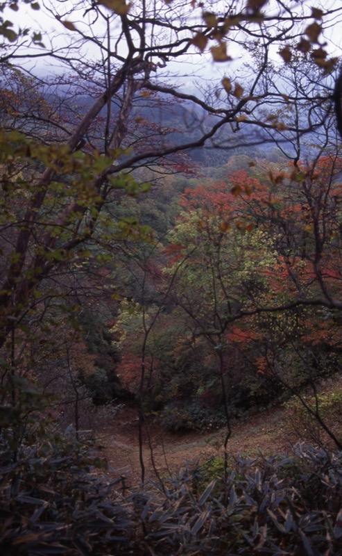 鼻曲山