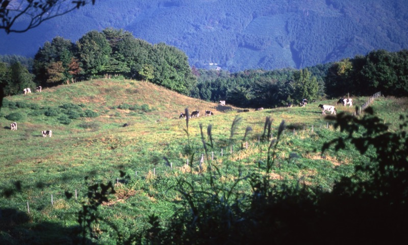 大霧山