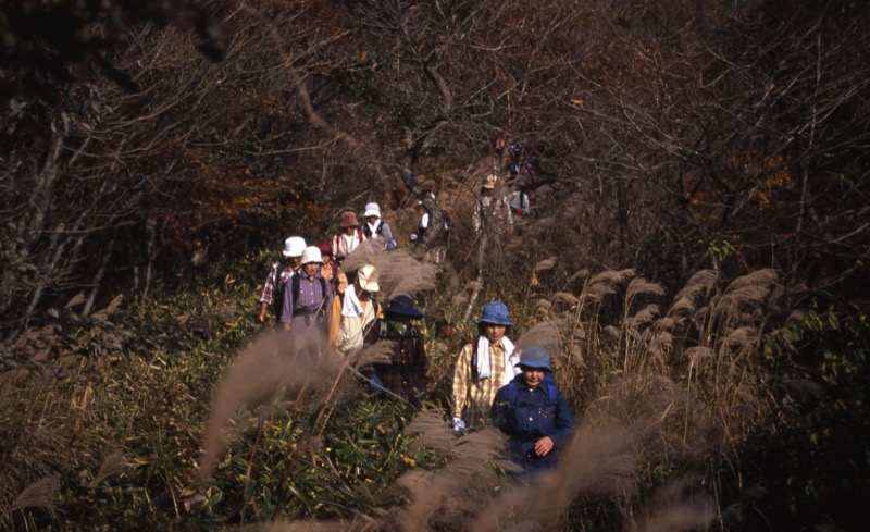 子持山