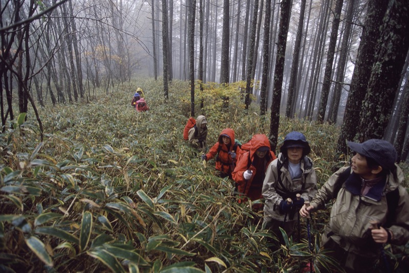 高谷山