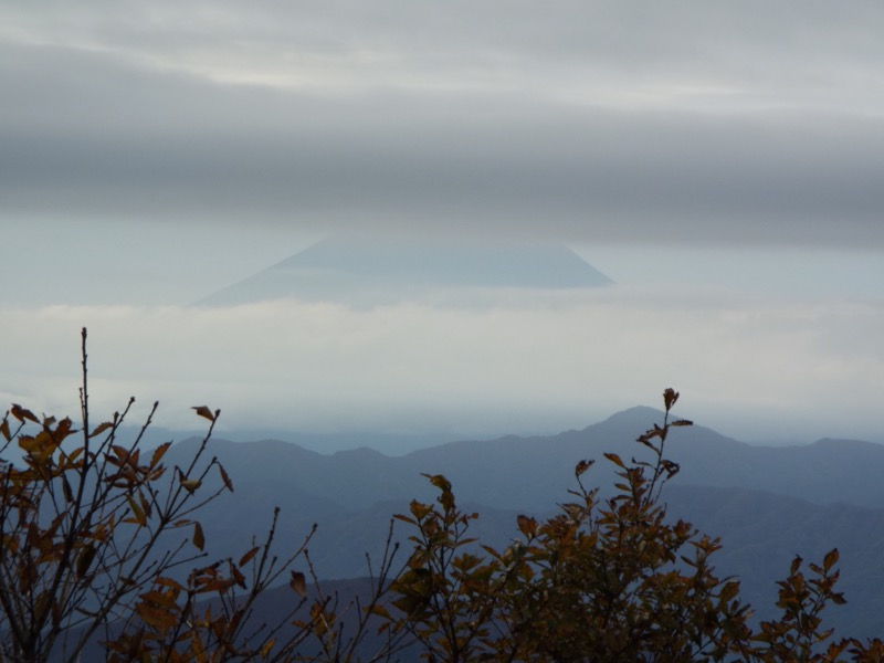 倉掛山