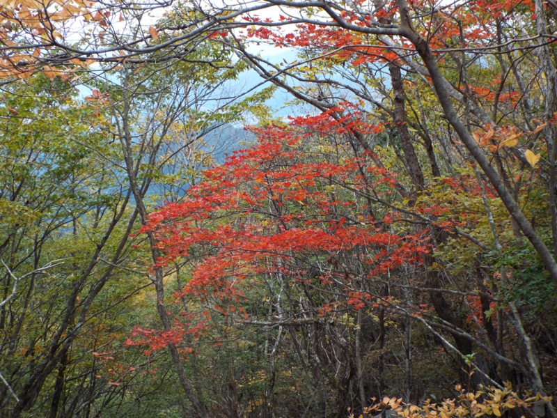 倉掛山