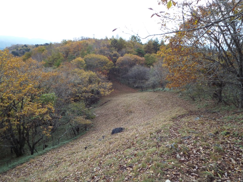 倉掛山