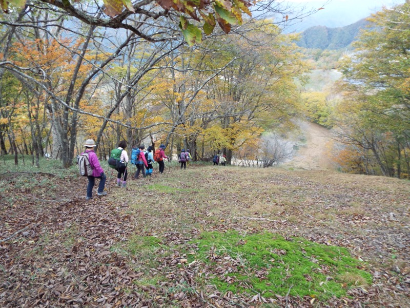 倉掛山