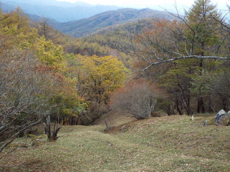 倉掛山