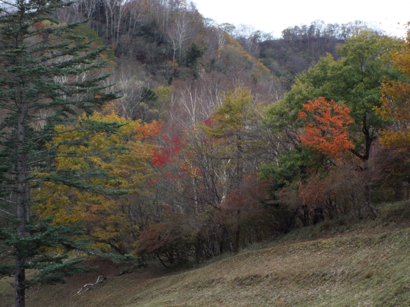 倉掛山