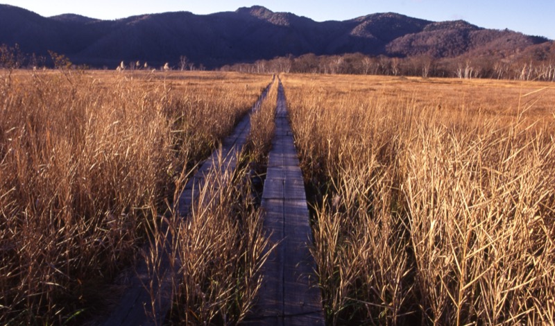 燧ヶ岳