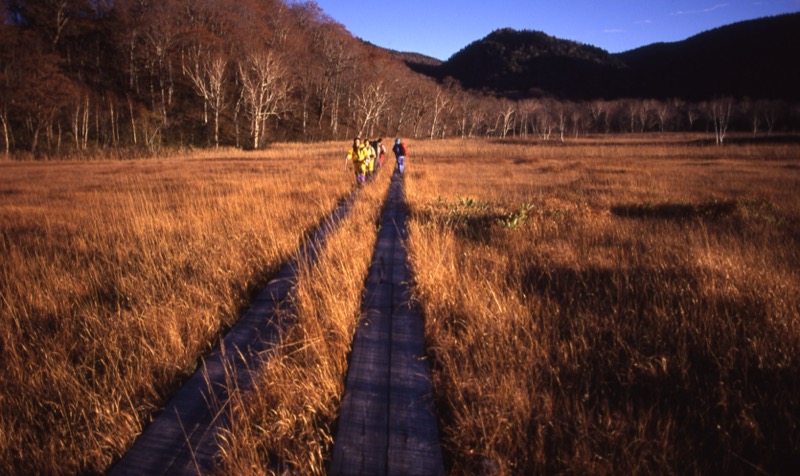 燧ヶ岳