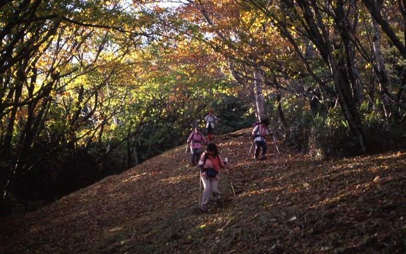 蕎麦粒山