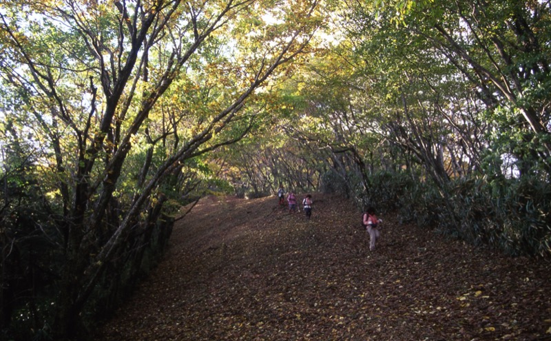 蕎麦粒山