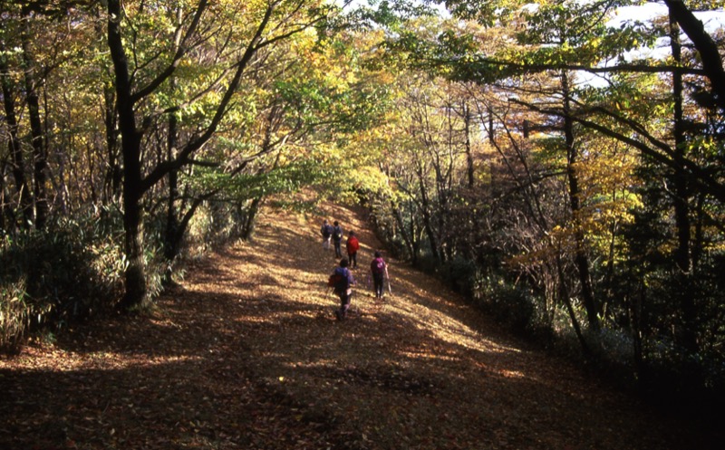 蕎麦粒山