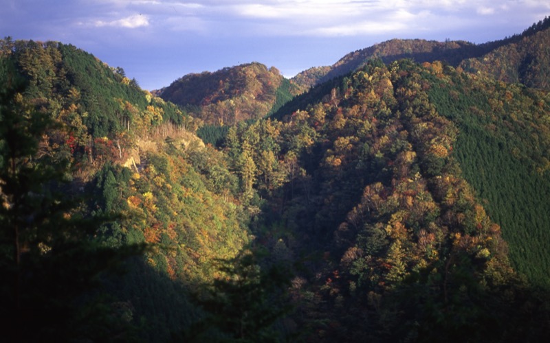 蕎麦粒山